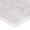 Msi Calacatta Cressa Honed SAMPLE Marble Subway Tile In White ZOR-NS-0055-SAM - alternate 3